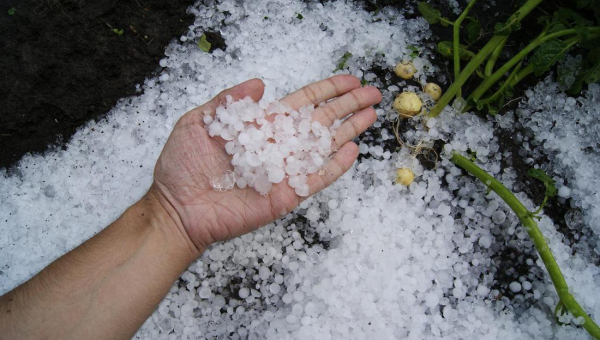 Javni poziv za sudjelovanje u savjetovanju s javnošću u postupku izrade Nacrta Plana djelovanja Grada Valpova u području prirodnih nepogoda u 2025. godini