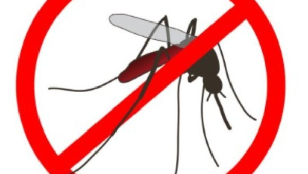 Dezinsekcija komaraca u Bizovcu