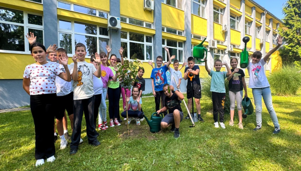 Zelena transformacija Valpova: Dodatno ozelenjeno dvorište OŠ Matije Petra Katančića