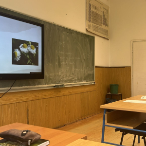 WhatsApp Image 2025-05-22 at 11.28.48(1)