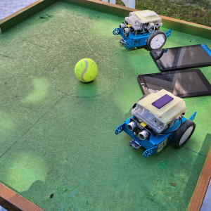 Dan SOS Ladimirevci 2025- (7)