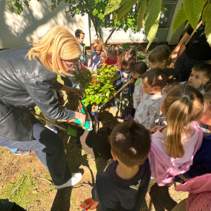 Snimka zaslona 2025-05-28 080636