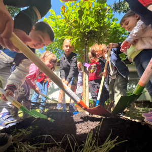 Snimka zaslona 2025-05-28 080644