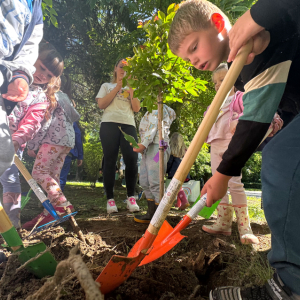 Snimka zaslona 2025-05-28 080653