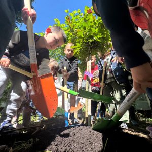 Snimka zaslona 2025-05-28 080700