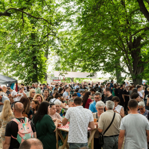 Damir Janković (6)-min