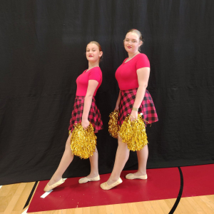 Samoborfest 2025 -10