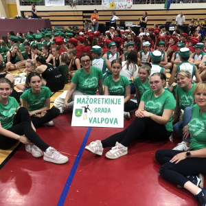 Samoborfest 2025 zajednička